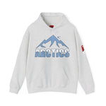 Arctics Unisex Hoodie - Heavy Blend