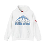 Arctics Unisex Hoodie - Heavy Blend