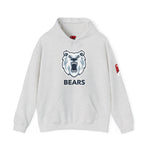 Bears Unisex Hoodie - Heavy Blend