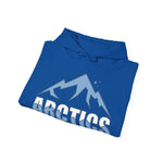 Arctics Unisex Hoodie - Heavy Blend